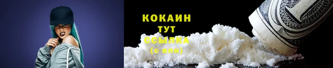 тгк Аркадак