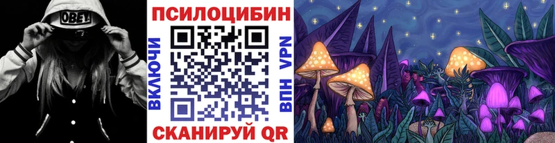 наркошоп  Чаплыгин  Галлюциногенные грибы мицелий 
